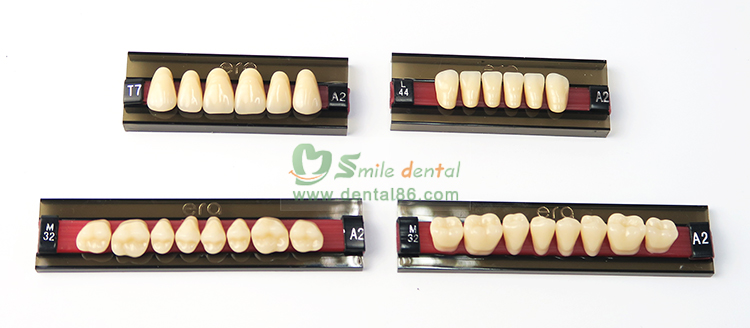 Three Layer Acrylic Resin Teeth